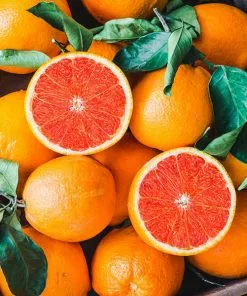 Fast Growing Trees Citrus Trees Cara Cara Orange Tree