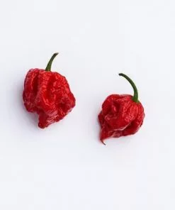 Fast Growing Trees Tropical Fruit Trees Carolina Reaper Pepper Plant - USDA Organic 9 Fast Growing Trees Tropical Fruit Trees Carolina Reaper Pepper Plant - USDA Organic