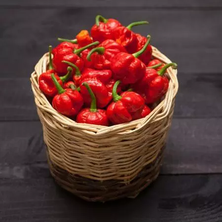 Fast Growing Trees Tropical Fruit Trees Carolina Reaper Pepper Plant - USDA Organic 4 Fast Growing Trees Tropical Fruit Trees Carolina Reaper Pepper Plant - USDA Organic