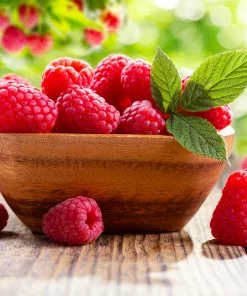 Fast Growing Trees Raspberry Bushes Caroline Raspberry Bush