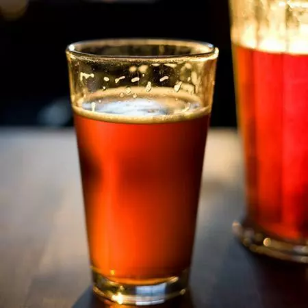 Fast Growing Trees See All Shrubs & Hedges Cascade Hops Plant 7 Fast Growing Trees See All Shrubs & Hedges Cascade Hops Plant