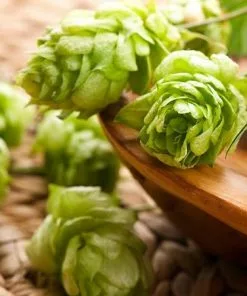 Fast Growing Trees See All Shrubs & Hedges Cascade Hops Plant