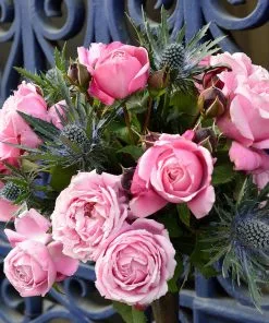 Fast Growing Trees Roses Cathedral Bells Rose 8 Fast Growing Trees Roses Cathedral Bells Rose