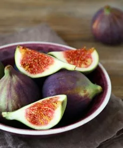 Fast Growing Trees Celeste Fig Tree Fig Trees