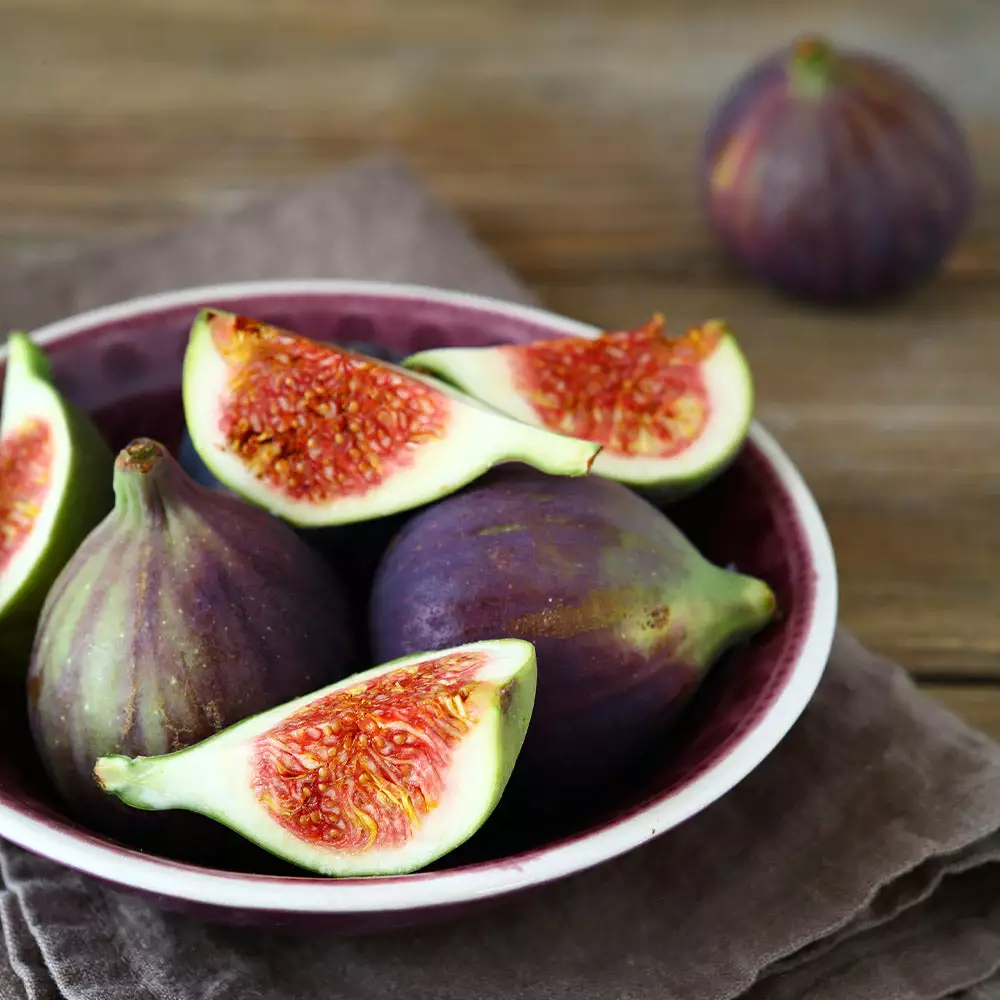 Fast Growing Trees Celeste Fig Tree Fig Trees 4 Fast Growing Trees Celeste Fig Tree Fig Trees