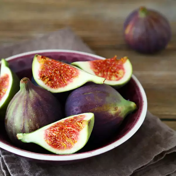 Fast Growing Trees Celeste Fig Tree Fig Trees 3 Fast Growing Trees Celeste Fig Tree Fig Trees