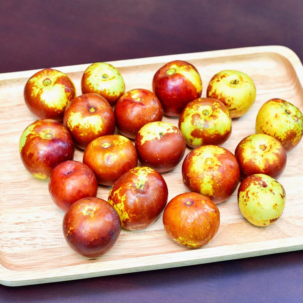 Fast Growing Trees See All Fruit Trees Chico Jujube Tree 6 Fast Growing Trees See All Fruit Trees Chico Jujube Tree