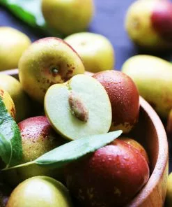 Fast Growing Trees See All Fruit Trees Chico Jujube Tree 8 Fast Growing Trees See All Fruit Trees Chico Jujube Tree