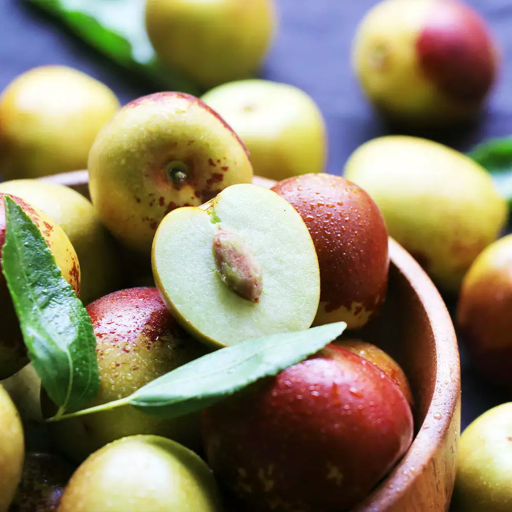 Fast Growing Trees See All Fruit Trees Chico Jujube Tree 4 Fast Growing Trees See All Fruit Trees Chico Jujube Tree