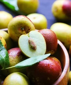 Fast Growing Trees See All Fruit Trees Chico Jujube Tree