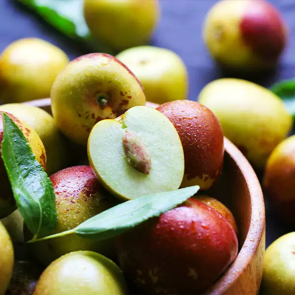 Fast Growing Trees See All Fruit Trees Chico Jujube Tree 3 Fast Growing Trees See All Fruit Trees Chico Jujube Tree