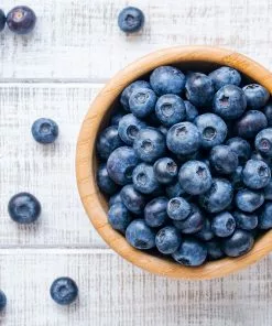 Fast Growing Trees Blueberry Bushes Climax Blueberry 12 Fast Growing Trees Blueberry Bushes Climax Blueberry