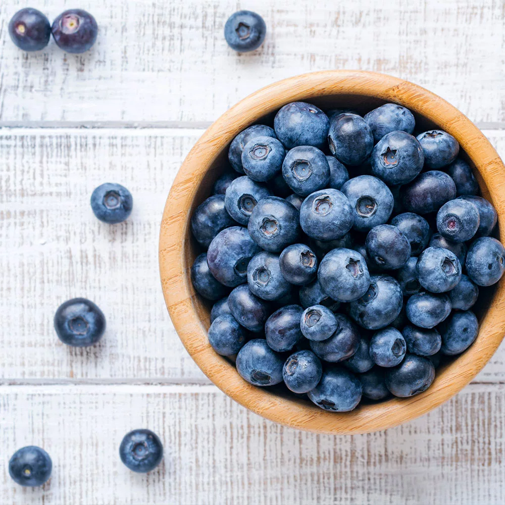 Fast Growing Trees Blueberry Bushes Climax Blueberry 7 Fast Growing Trees Blueberry Bushes Climax Blueberry