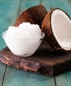 Fast Growing Trees Coconut Palm Tree Shop Indoor & Patio Fruit 13 Fast Growing Trees Coconut Palm Tree Shop Indoor & Patio Fruit