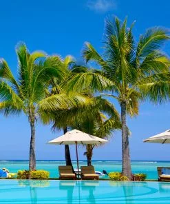 Fast Growing Trees Coconut Palm Tree Shop Indoor & Patio Fruit 12 Fast Growing Trees Coconut Palm Tree Shop Indoor & Patio Fruit