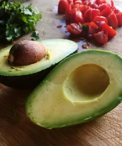 Fast Growing Trees Avocado Trees Cold Hardy Avocado Tree 13 Fast Growing Trees Avocado Trees Cold Hardy Avocado Tree