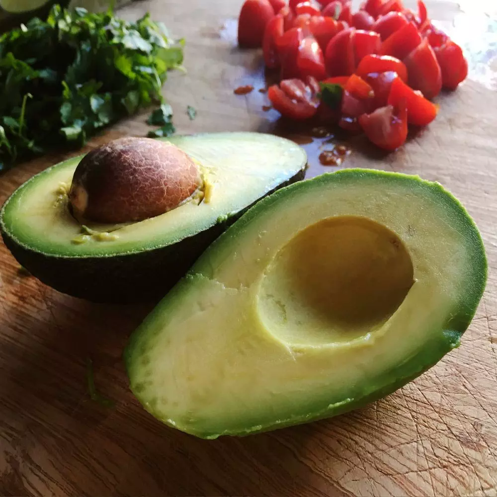 Fast Growing Trees Avocado Trees Cold Hardy Avocado Tree 6 Fast Growing Trees Avocado Trees Cold Hardy Avocado Tree