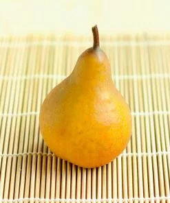 Fast Growing Trees Comice Pear Tree Pear Trees 10 Fast Growing Trees Comice Pear Tree Pear Trees