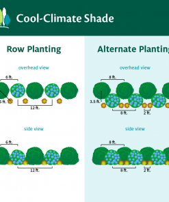 Fast Growing Trees Cool-Climate Shade Garden Kit Full Landscape Kits For Any Climate 10 Fast Growing Trees Cool-Climate Shade Garden Kit Full Landscape Kits For Any Climate