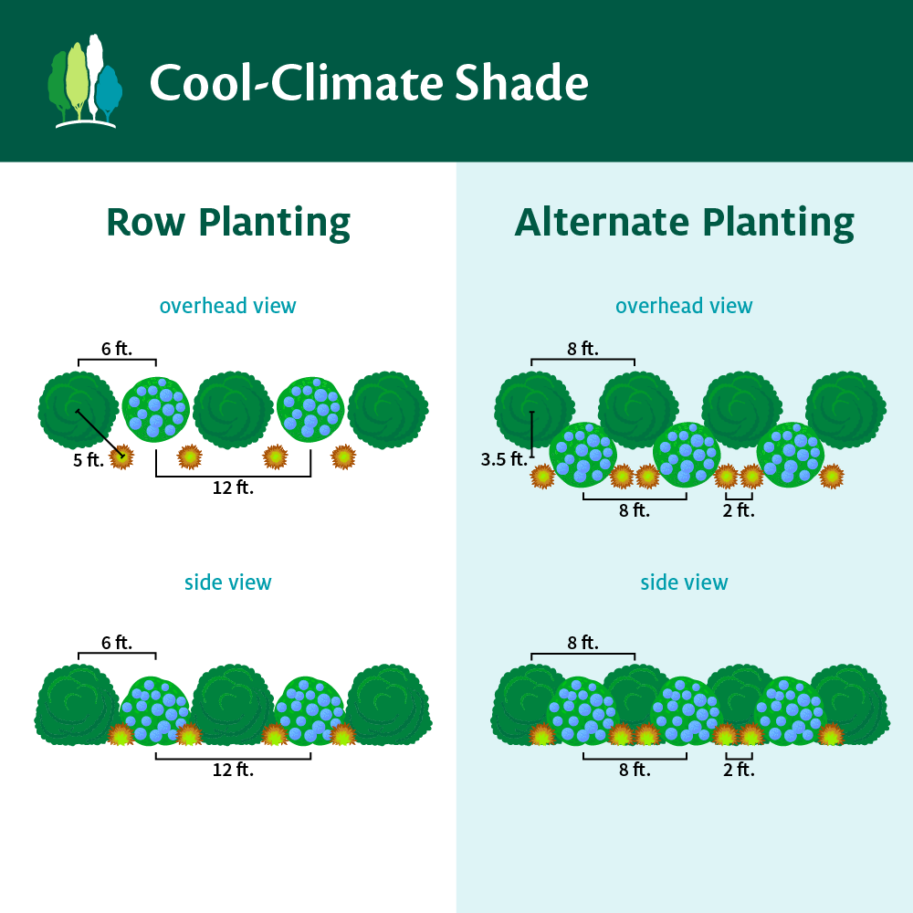 Fast Growing Trees Cool-Climate Shade Garden Kit Full Landscape Kits For Any Climate 5 Fast Growing Trees Cool-Climate Shade Garden Kit Full Landscape Kits For Any Climate