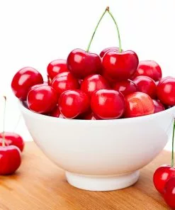 Fast Growing Trees Coral Champagne Cherry Tree Cherry Trees 8 Fast Growing Trees Coral Champagne Cherry Tree Cherry Trees