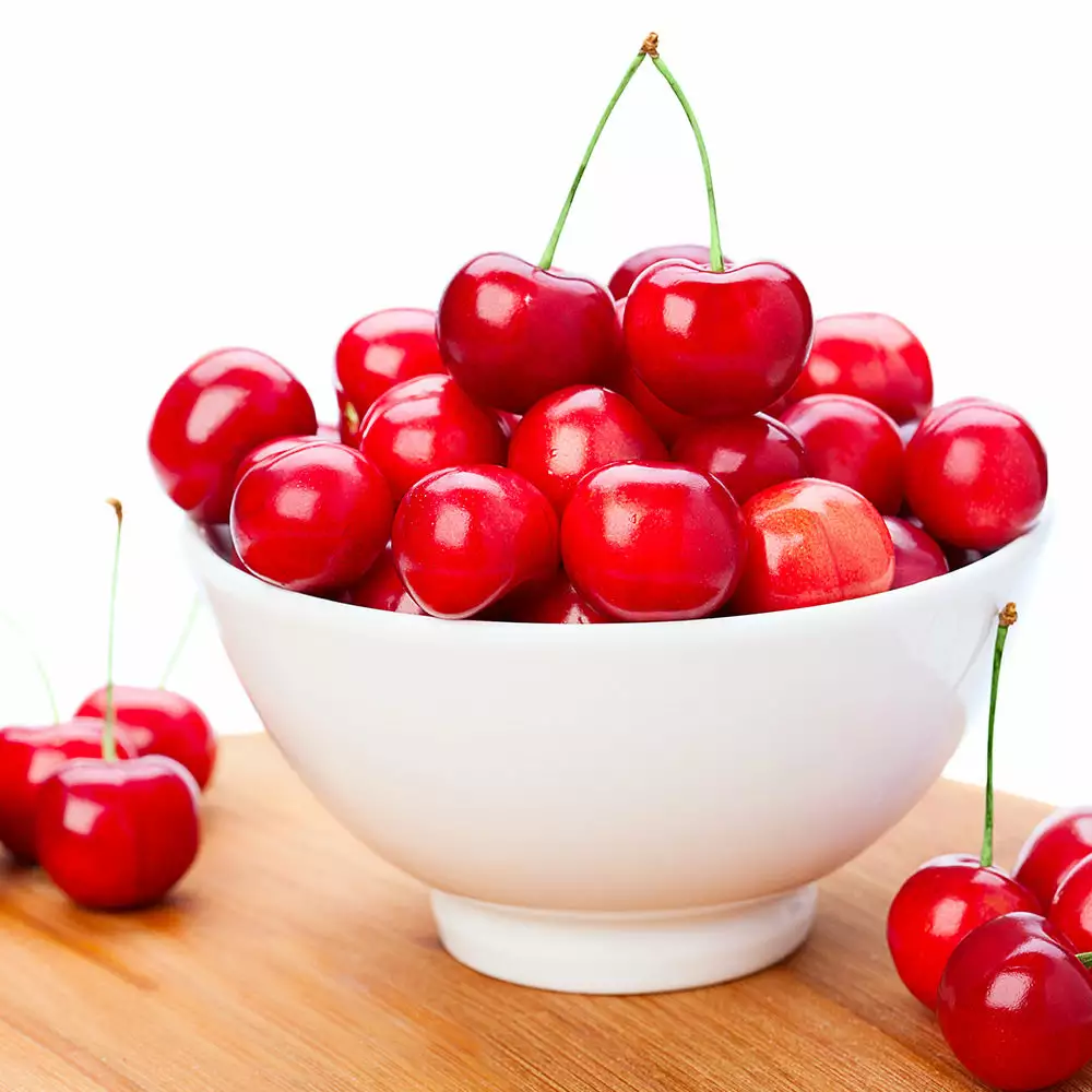 Fast Growing Trees Coral Champagne Cherry Tree Cherry Trees 5 Fast Growing Trees Coral Champagne Cherry Tree Cherry Trees