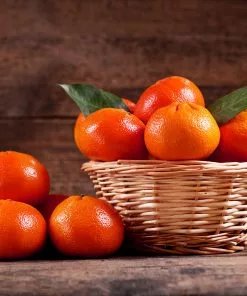 Fast Growing Trees Shop Indoor & Patio Fruit Dancy Tangerine Tree 10 Fast Growing Trees Shop Indoor & Patio Fruit Dancy Tangerine Tree