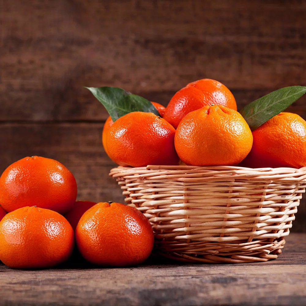 Fast Growing Trees Shop Indoor & Patio Fruit Dancy Tangerine Tree 6 Fast Growing Trees Shop Indoor & Patio Fruit Dancy Tangerine Tree