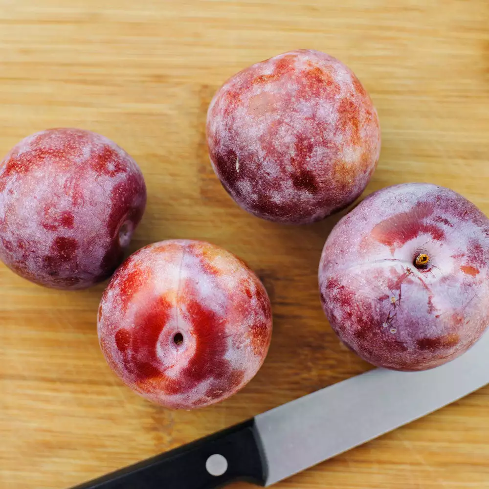 Fast Growing Trees Dapple Dandy Pluot Tree Plum Trees 5 Fast Growing Trees Dapple Dandy Pluot Tree Plum Trees