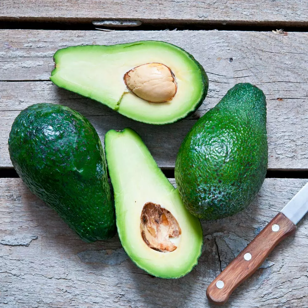 Fast Growing Trees Condo™ Avocado Tree 7 Fast Growing Trees Condo™ Avocado Tree