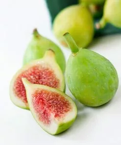 Fast Growing Trees Desert King Fig Tree Fig Trees 6 Fast Growing Trees Desert King Fig Tree Fig Trees