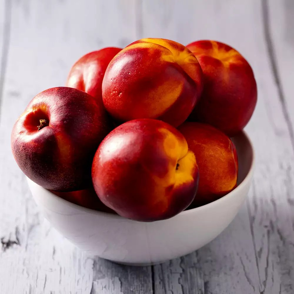 Fast Growing Trees Double Delight Nectarine Tree 5 Fast Growing Trees Double Delight Nectarine Tree