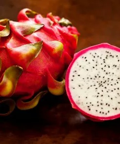 Fast Growing Trees Shop Indoor & Patio Fruit Dragon Fruit Cactus 12 Fast Growing Trees Shop Indoor & Patio Fruit Dragon Fruit Cactus