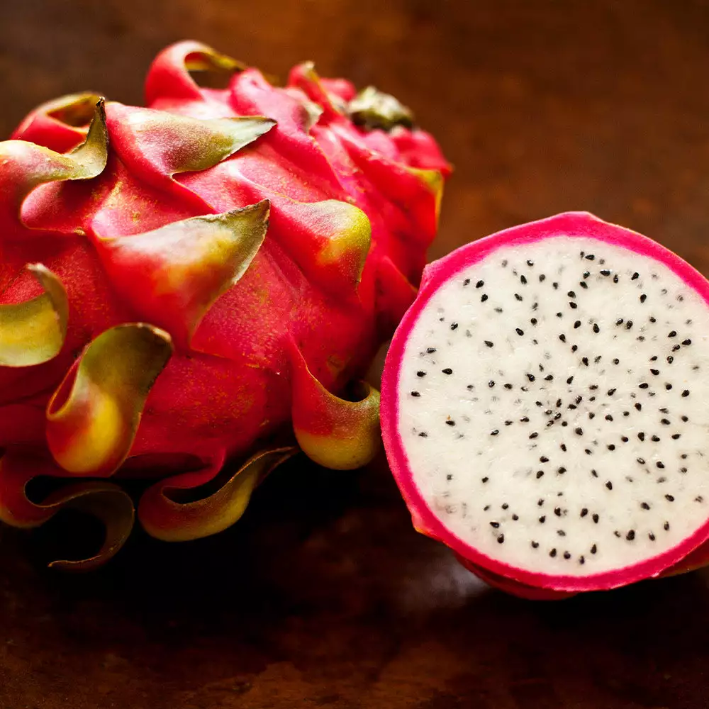 Fast Growing Trees Shop Indoor & Patio Fruit Dragon Fruit Cactus 5 Fast Growing Trees Shop Indoor & Patio Fruit Dragon Fruit Cactus