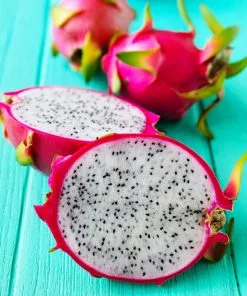 Fast Growing Trees Shop Indoor & Patio Fruit Dragon Fruit Cactus 14 Fast Growing Trees Shop Indoor & Patio Fruit Dragon Fruit Cactus