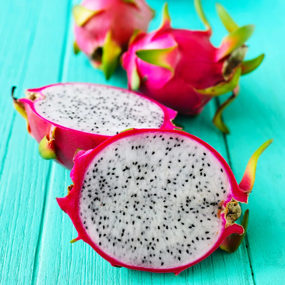 Fast Growing Trees Shop Indoor & Patio Fruit Dragon Fruit Cactus 7 Fast Growing Trees Shop Indoor & Patio Fruit Dragon Fruit Cactus