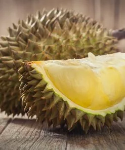 Fast Growing Trees Durian Fruit See All Fruit Trees 10 Fast Growing Trees Durian Fruit See All Fruit Trees