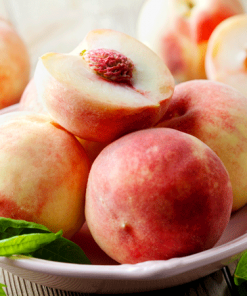 Fast Growing Trees Peach Trees Early White Giant Peach Tree 7 Fast Growing Trees Peach Trees Early White Giant Peach Tree