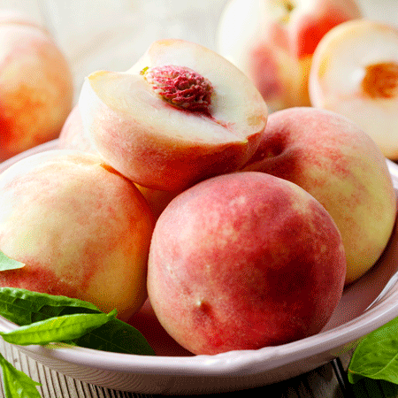 Fast Growing Trees Peach Trees Early White Giant Peach Tree 5 Fast Growing Trees Peach Trees Early White Giant Peach Tree