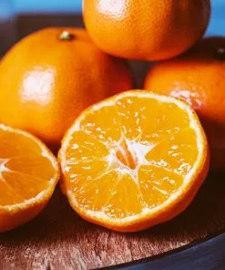 Fast Growing Trees EasyPeel Clementine Tree 8 Fast Growing Trees EasyPeel Clementine Tree