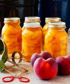 Fast Growing Trees Peach Trees Elberta Peach Tree