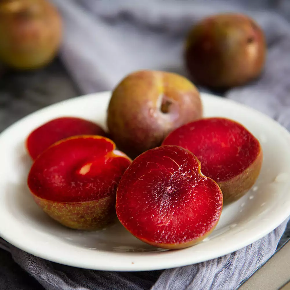 Fast Growing Trees Plum Trees Elephant Heart Plum Tree 5 Fast Growing Trees Plum Trees Elephant Heart Plum Tree