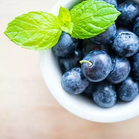 Fast Growing Trees Blueberry Bushes Elliot Blueberry Bush 4 Fast Growing Trees Blueberry Bushes Elliot Blueberry Bush