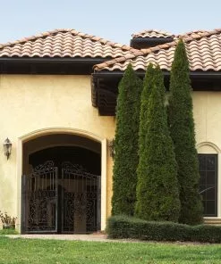 Fast Growing Trees Cool-Climate Privacy Kit 15 Fast Growing Trees Cool-Climate Privacy Kit