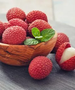 Fast Growing Trees Emperor Lychee Tree Tropical Fruit Trees 12 Fast Growing Trees Emperor Lychee Tree Tropical Fruit Trees