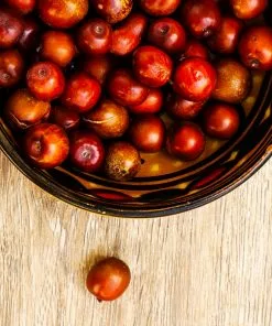 Fast Growing Trees Empress Gee™ Jujube Tree 10 Fast Growing Trees Empress Gee™ Jujube Tree