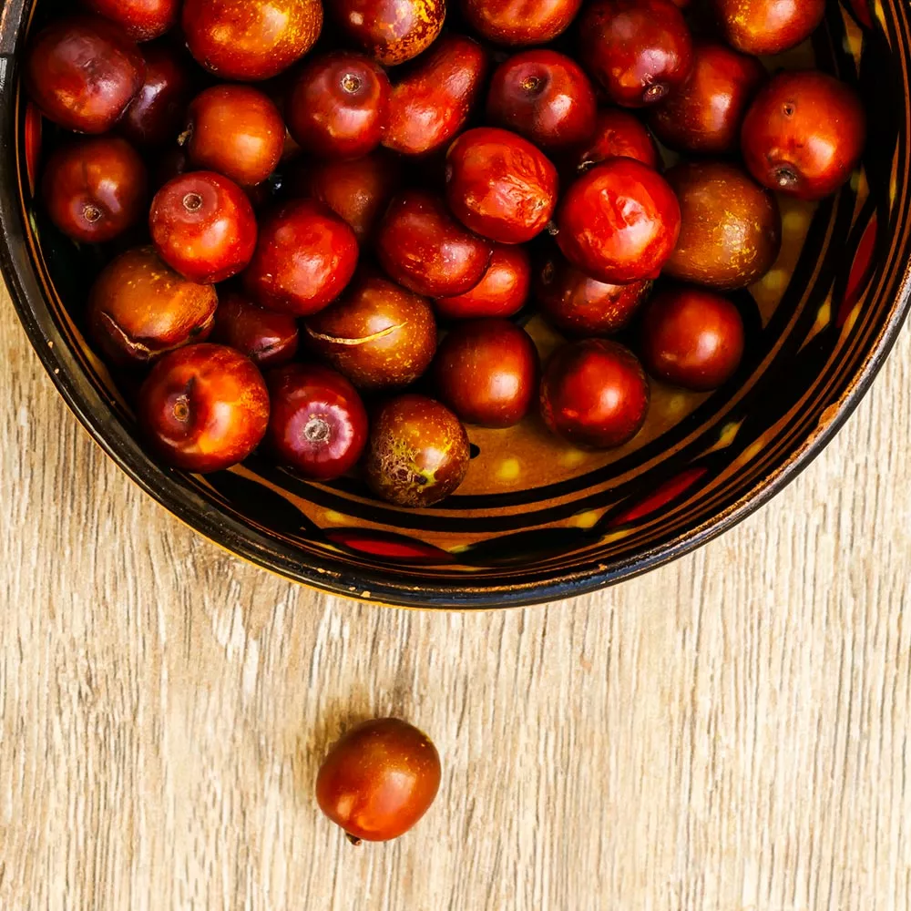 Fast Growing Trees Empress Gee™ Jujube Tree 6 Fast Growing Trees Empress Gee™ Jujube Tree