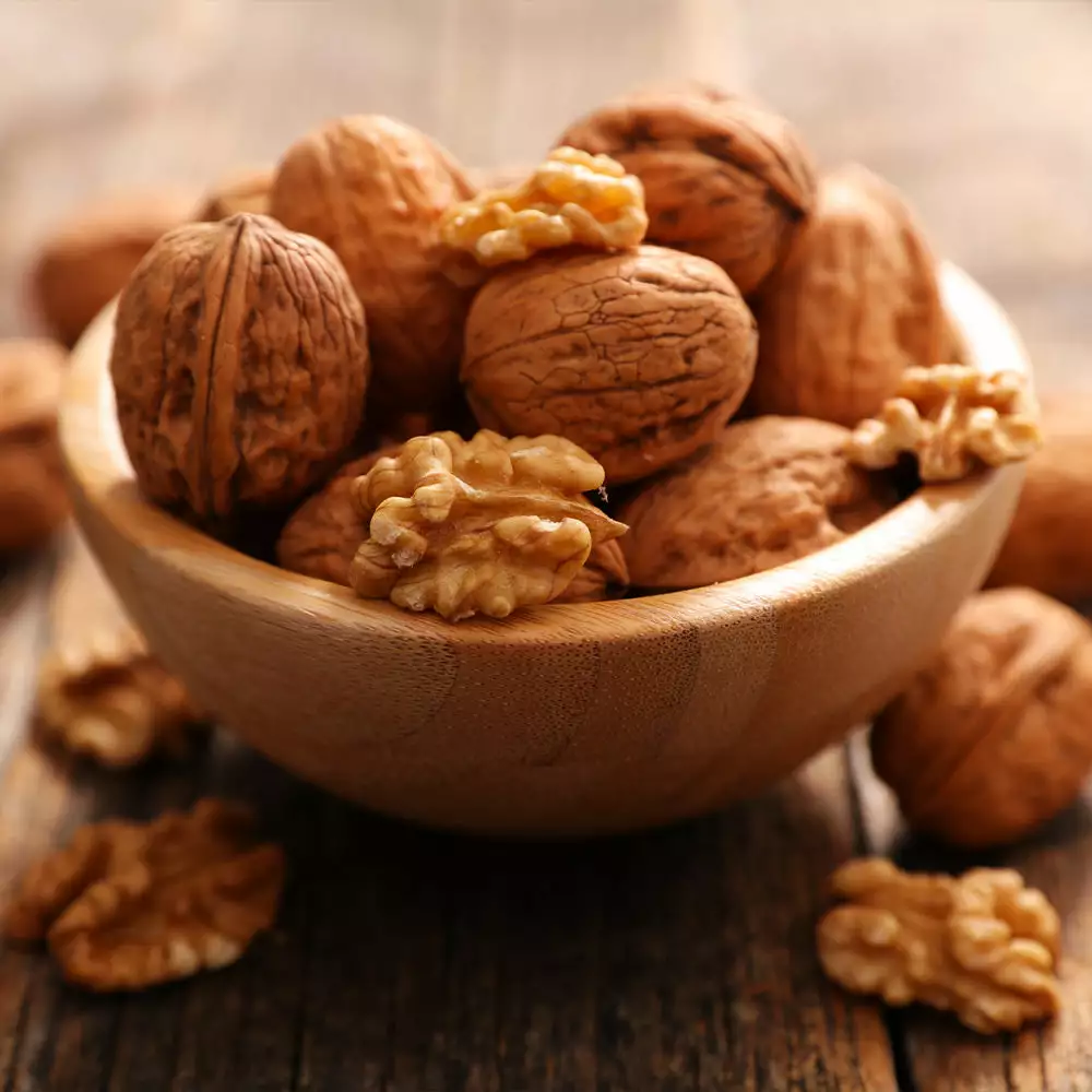 Fast Growing Trees Nut Trees English Walnut Tree 7 Fast Growing Trees Nut Trees English Walnut Tree