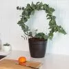 Fast Growing Trees Eucalyptus Wreath See All Shade Trees 1 Fast Growing Trees Eucalyptus Wreath See All Shade Trees