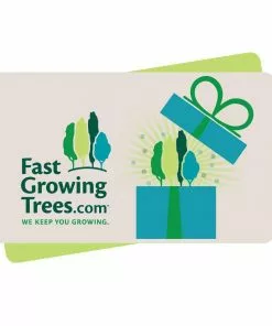 FastGrowingTrees.com E-Gift Card